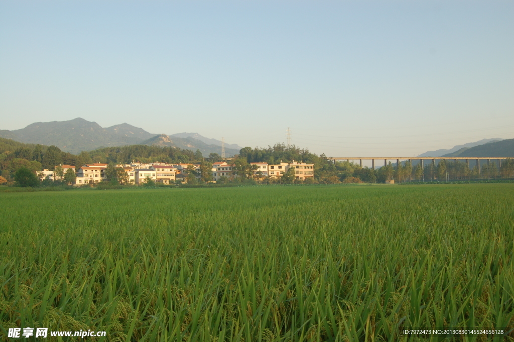 田园风光
