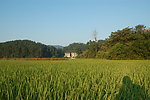 田园风光
