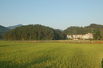 田园风光