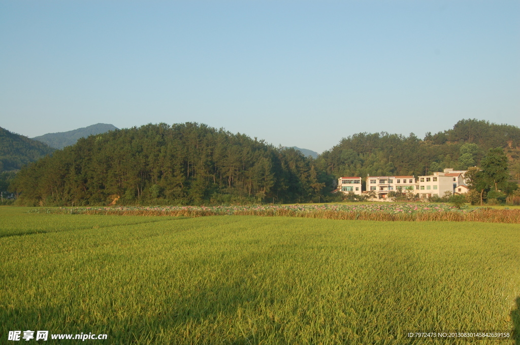 田园风光