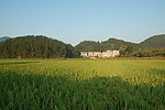 田园风光