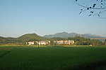 田园风光