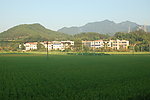 田园风光