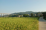 田园风光