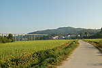 田园风光