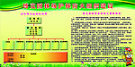 组织机构图