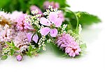 鲜花