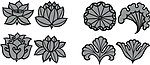 花纹