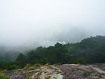黄山云雾