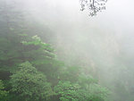 黄山雾景