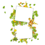 花样相框