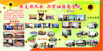 小学党支部展板