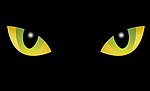猫眼动画flash