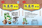 板蓝根凉茶