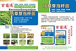 农药彩页