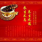 海参广告