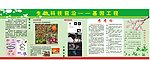 生物工程