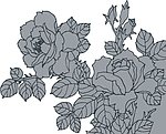 花纹