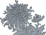 花纹