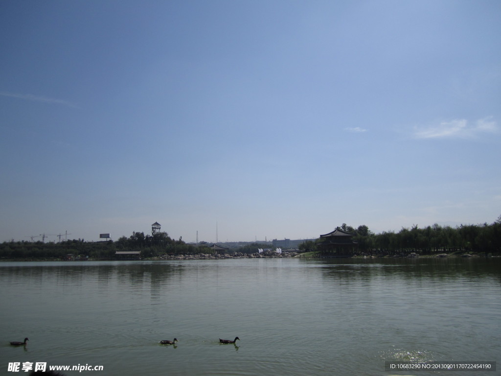 曲江池风景