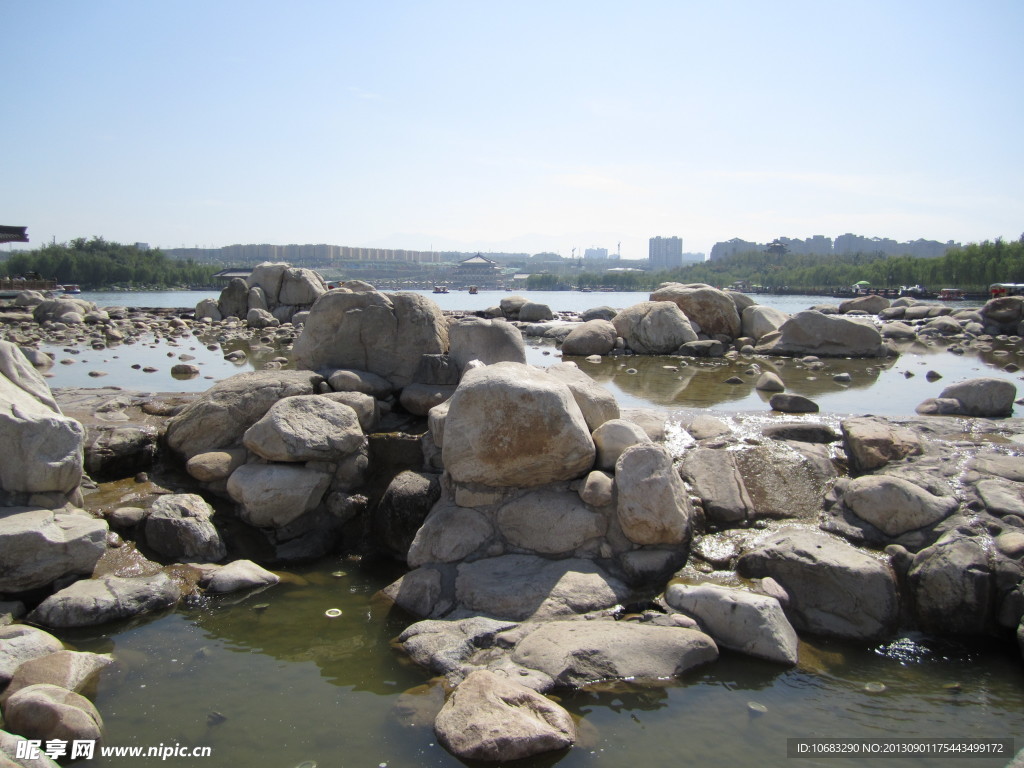 曲江池风景