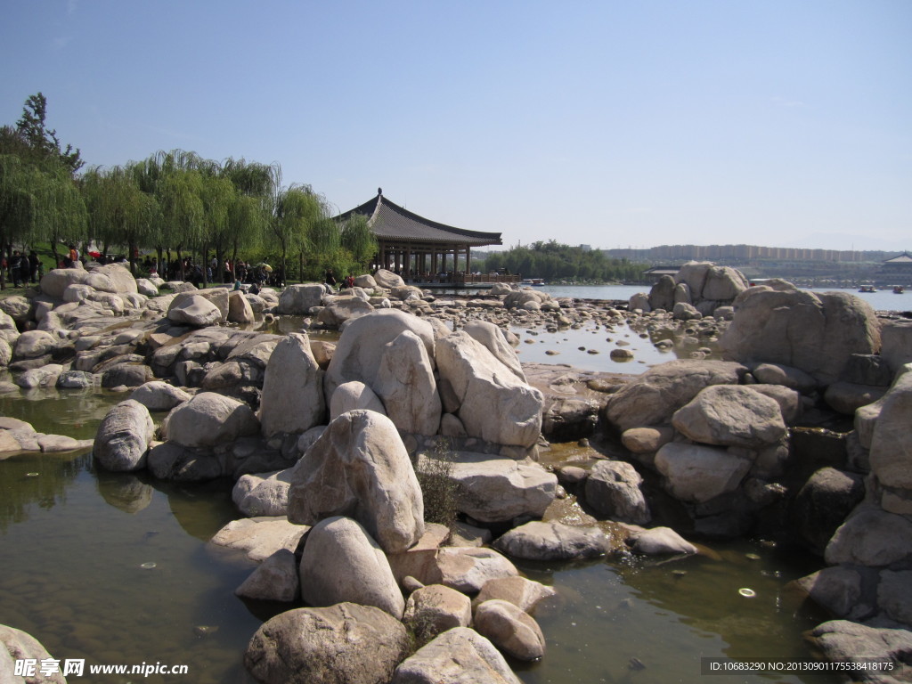 曲江池风景