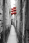 西塘石皮巷