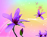 花纹背景