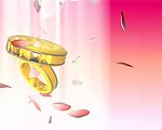 婚礼戒指视频