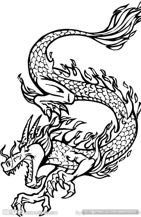 印花龙