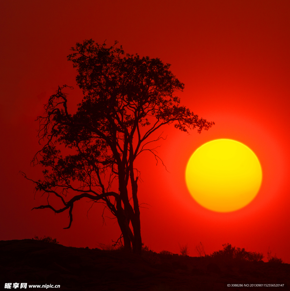 夕阳