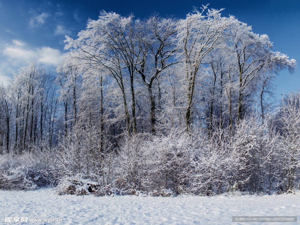 雪景