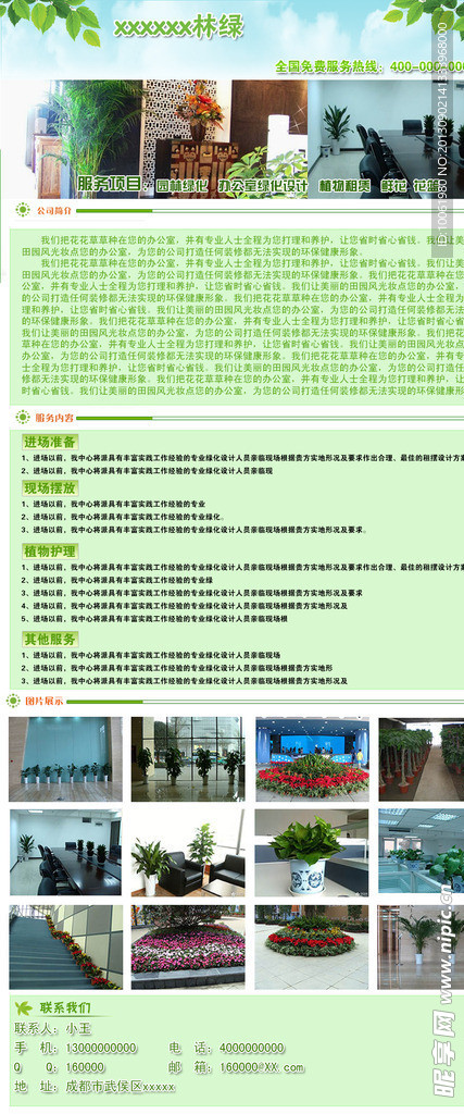 办公室绿化