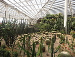 农业展览 花艺 育苗