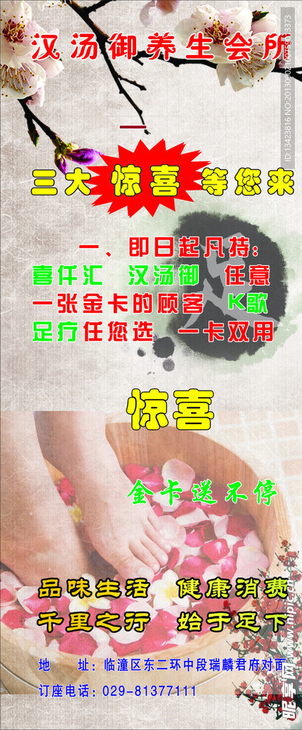 养生