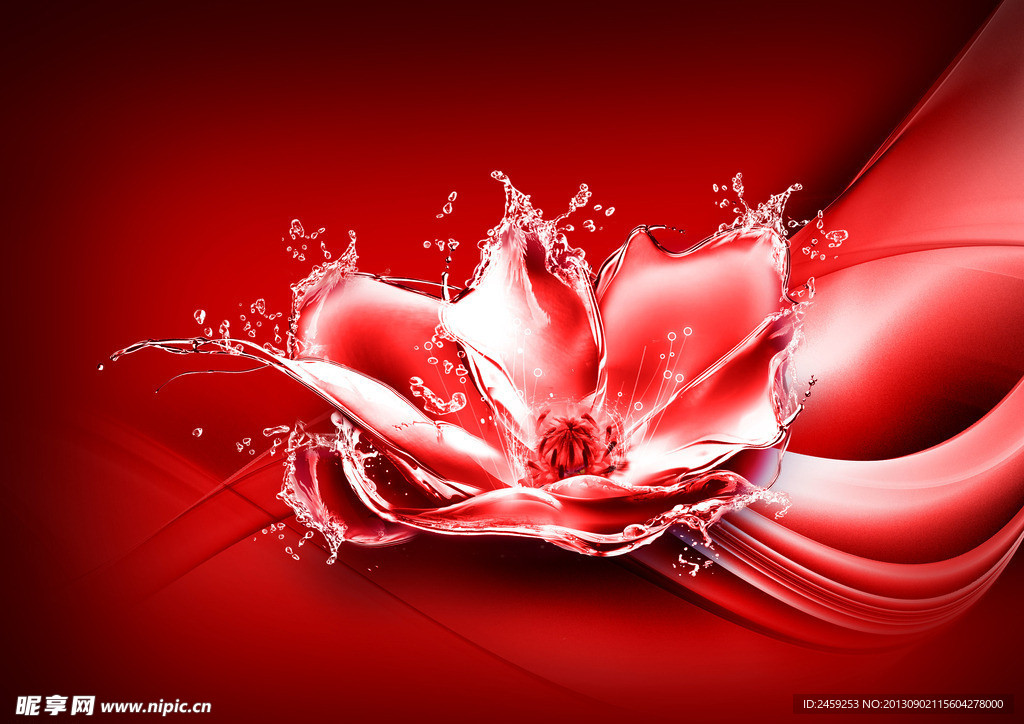 水花 花