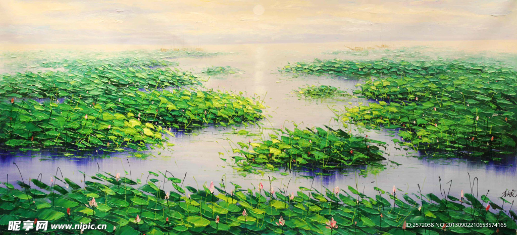 夏日莲池