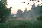 秋日湿地的晨雾