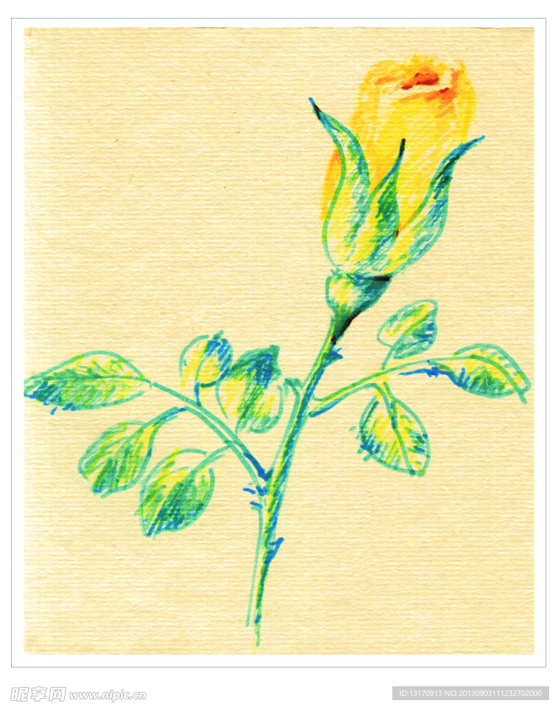 原创水彩黄玫瑰花苞