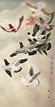 鸽子