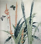 蝴蝶