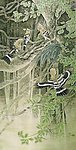 热带雨林