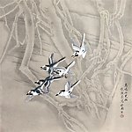 飞鸟