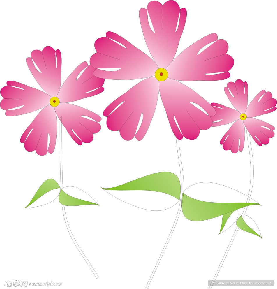 粉色花
