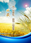收获 企业文化