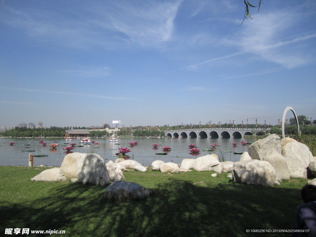 曲江池风景