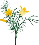 花矢量素材 花模板下
