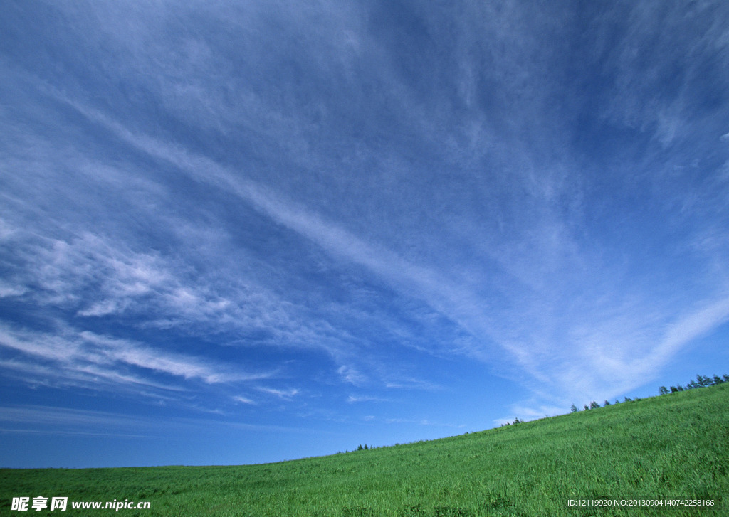 天空绿地风景