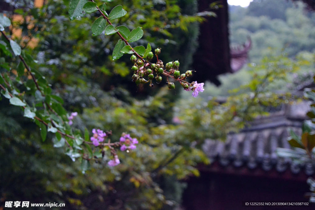 园林山花