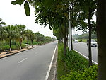 马路